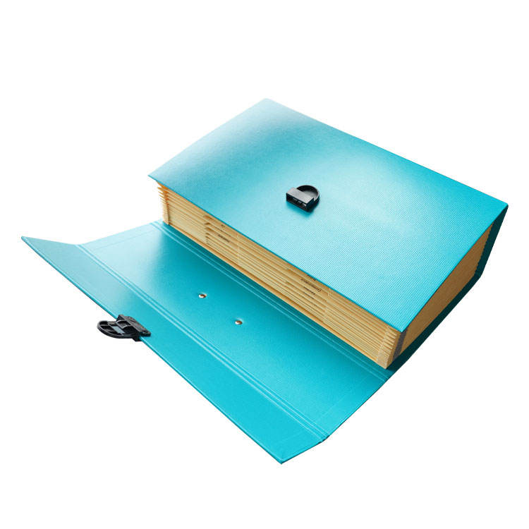 Document Bag